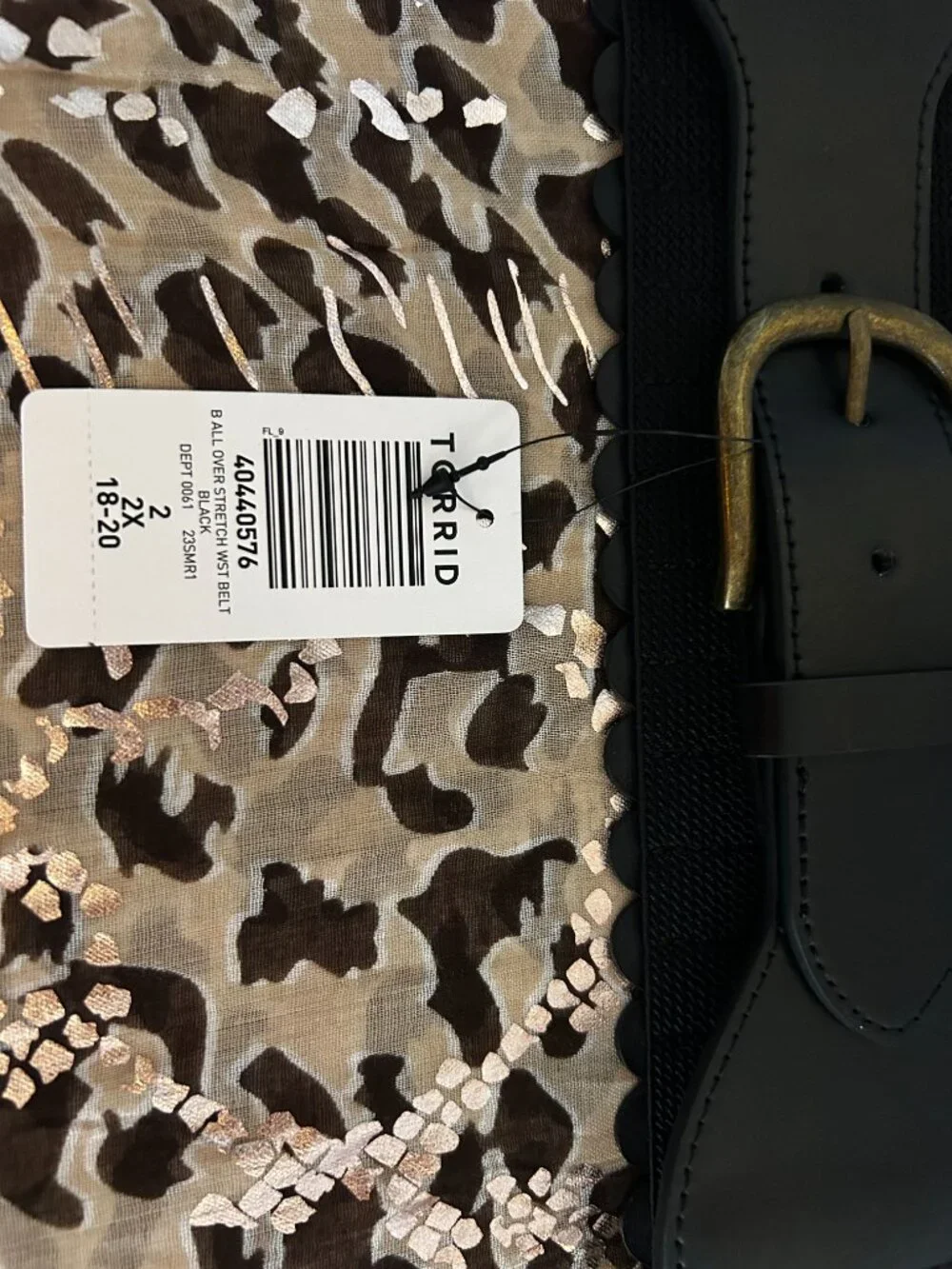 torrid this brand